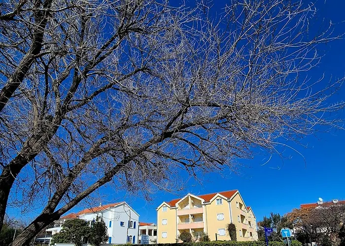 Dalmacia * سريما